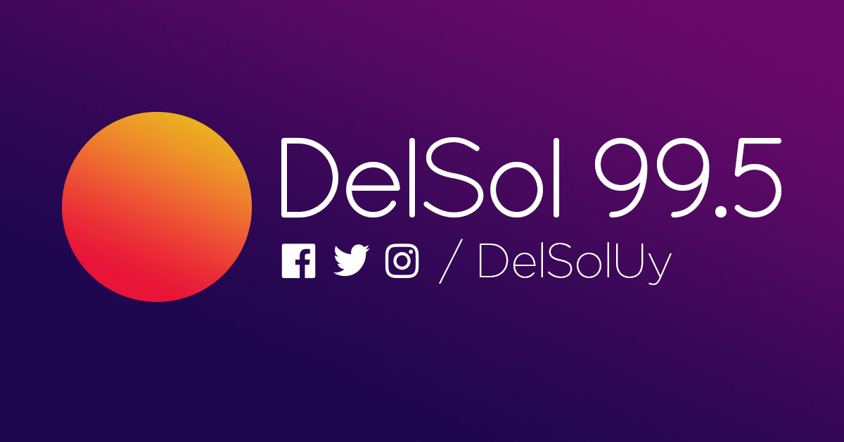 delsol website preview